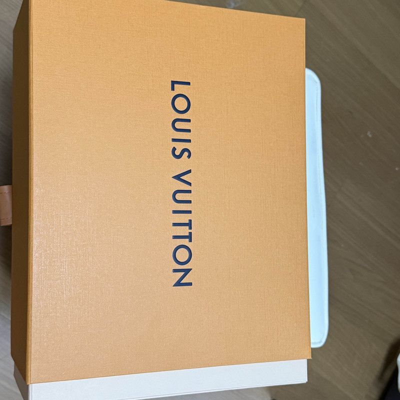 Louis Vuitton Louis Vuitton Trainer Low-Top Leather Sneakers 0079 Size US 9.5 / EU 42-43 - 6 Thumbnail