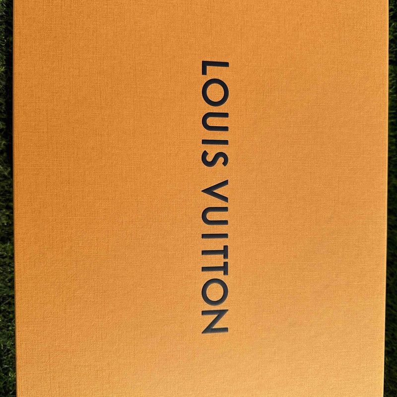 Louis Vuitton Louis Vuitton Trainer Low-Top Fashion Sneakers 0079 Size US 9.5 / EU 42-43 - 6 Thumbnail