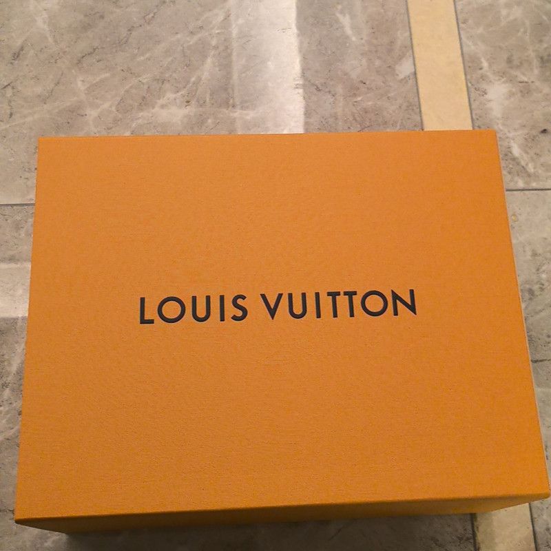 Louis Vuitton Louis Vuitton Trainer Maxi Leather Low-Top Sneakers 0079 Size US 9.5 / EU 42-43 - 6 Thumbnail