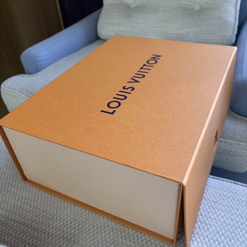 Louis Vuitton Louis Vuitton Trainer Low Top Fashion Sneakers 0079 Size US 10.5 / EU 43-44 - 6 Thumbnail