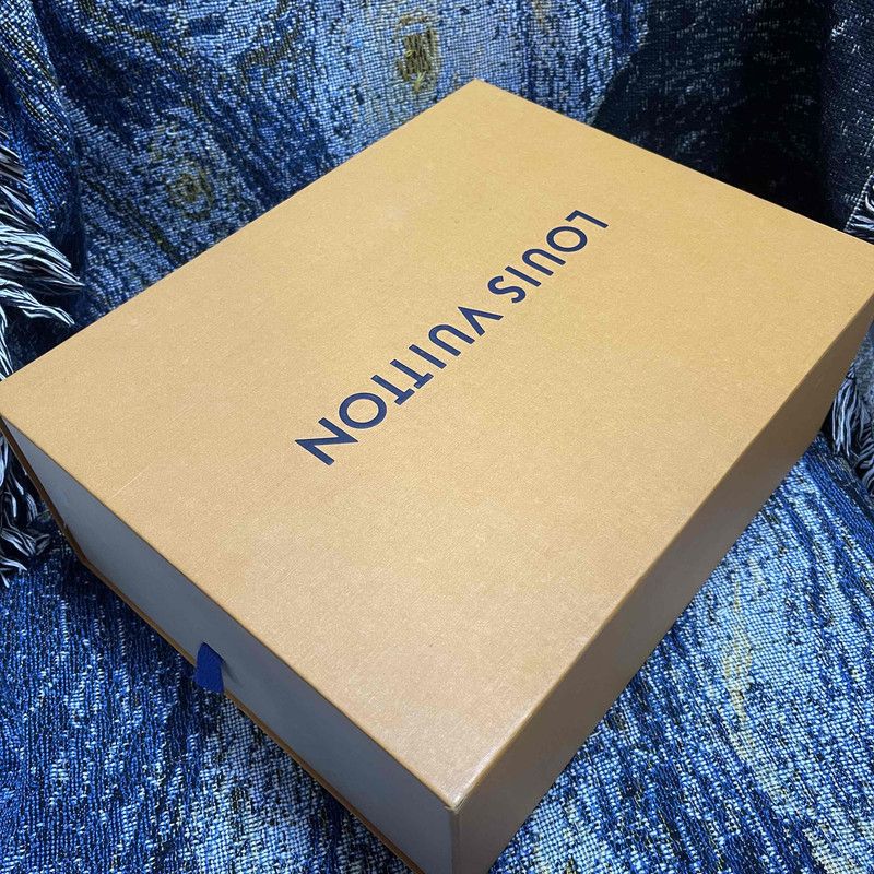 Louis Vuitton Louis Vuitton Trainer Low-Top Canvas Sneakers 0079 Size US 8.5 / EU 41-42 - 6 Thumbnail