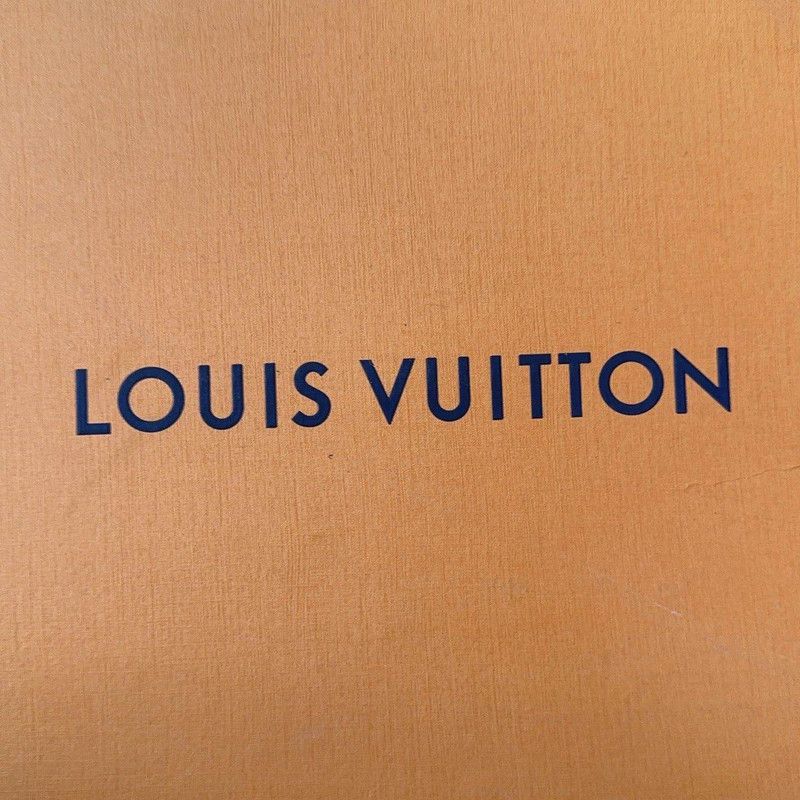 Louis Vuitton Louis Vuitton Trainer Maxi Low-Top Sneakers 0079 Size US 10.5 / EU 43-44 - 6 Thumbnail