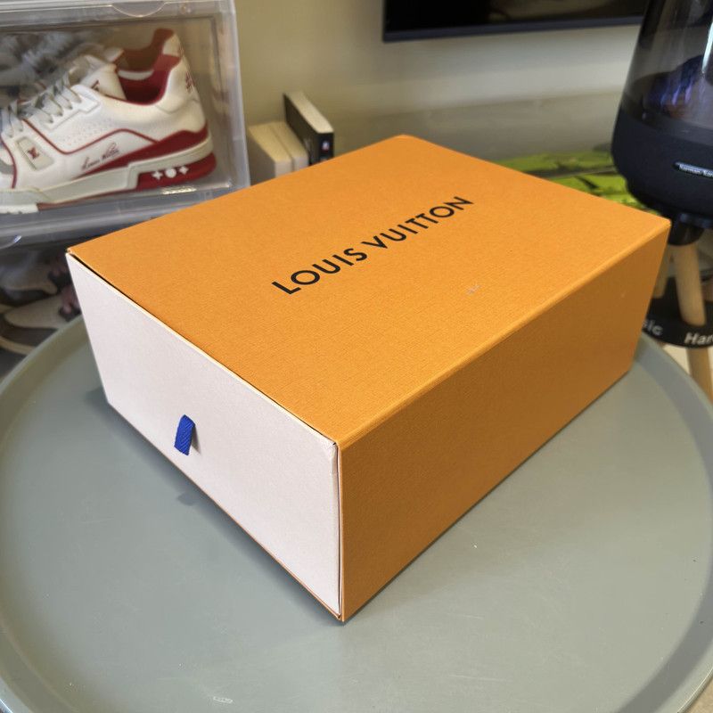 Louis Vuitton Louis Vuitton Trainer Low-Top Fashion Sneakers 0079 Size US 9.5 / EU 42-43 - 6 Thumbnail