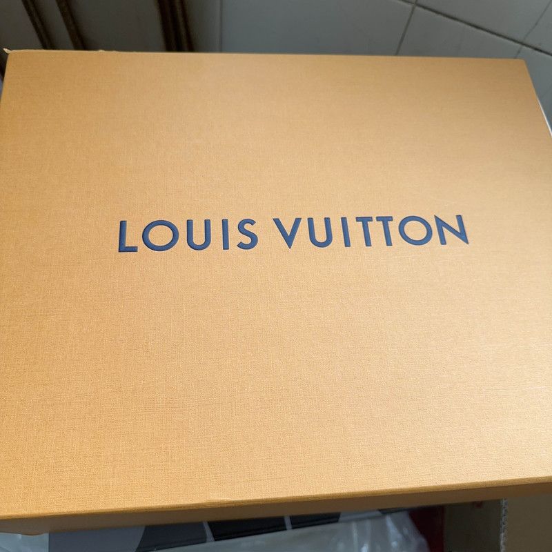 Louis Vuitton Louis Vuitton Stylish Low-Top Trainer Sneakers 0079 Size US 10.5 / EU 43-44 - 6 Thumbnail