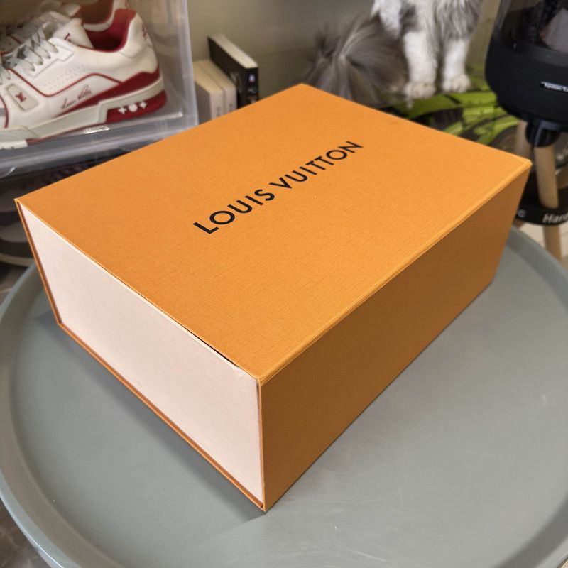 Louis Vuitton Louis Vuitton Colorful Low-Top Trainer Sneakers 0079 Size US 6.5 / EU 39-40 - 6 Thumbnail