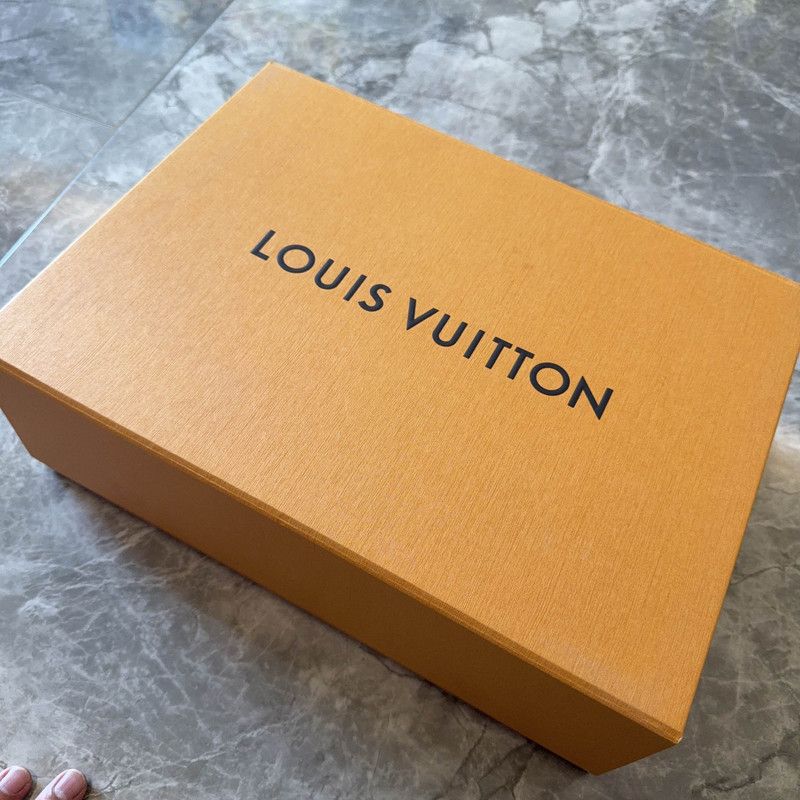 Louis Vuitton Louis Vuitton Leather Lace-Up Street Style Sneakers 0079 Size US 8 / EU 41 - 6 Thumbnail