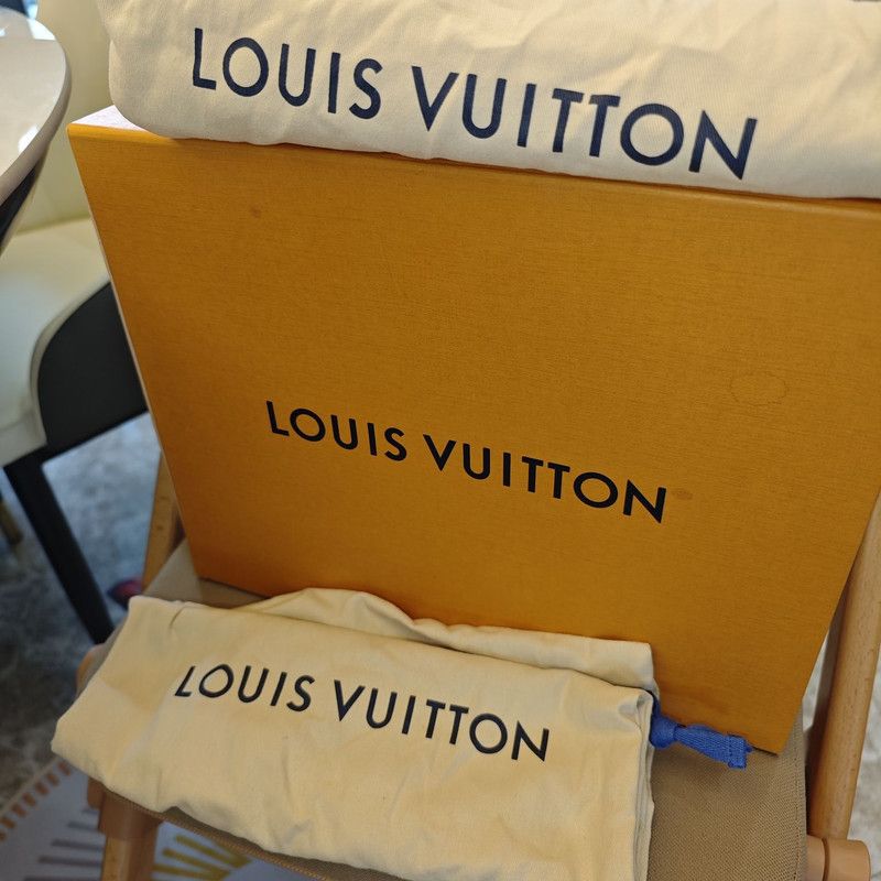 Louis Vuitton Louis Vuitton Skate Low Brown Fashion Sneakers 0079 Size US 10.5 / EU 43-44 - 11 Thumbnail
