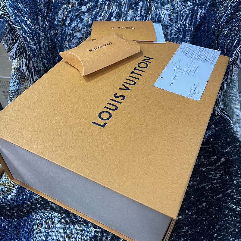 Louis Vuitton Louis Vuitton Trainer Maxi Low Top Sneakers 0079 Size US 9.5 / EU 42-43 - 6 Thumbnail