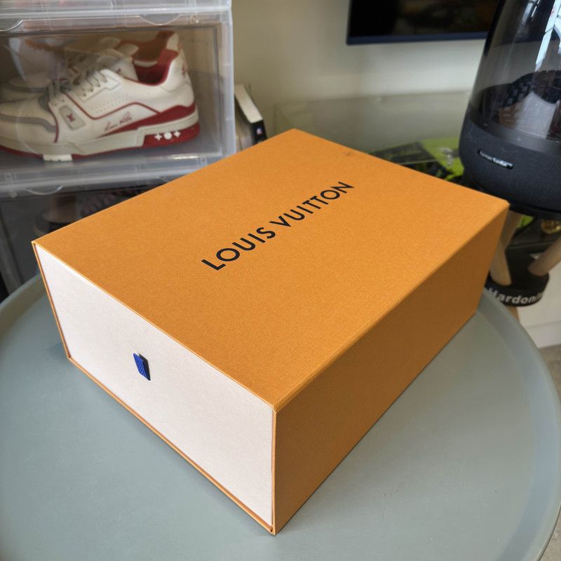 Louis Vuitton Louis Vuitton Trainer Maxi Fashion Sneakers for Men 0079 Size US 12 / EU 45 - 6 Thumbnail