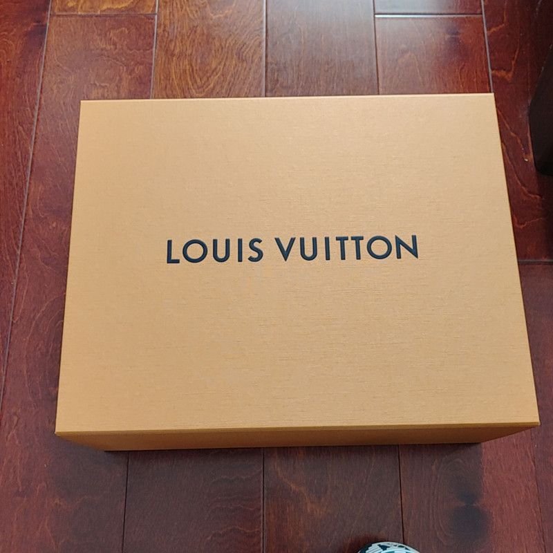 Louis Vuitton Louis Vuitton Trainer Maxi Sneakers for Men and Women 0079 Size US 6.5 / EU 39-40 - 6 Thumbnail