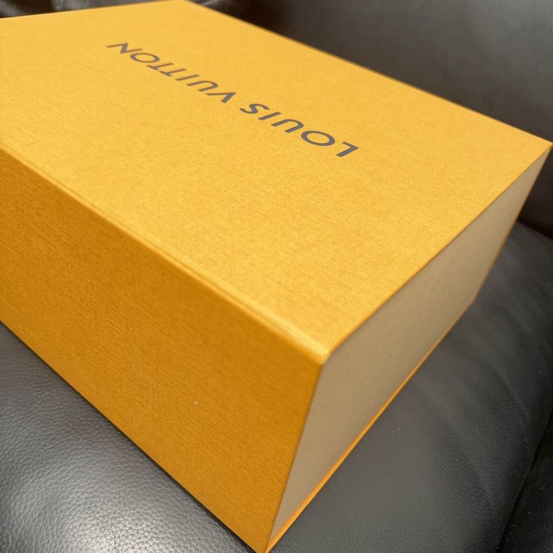 Louis Vuitton Louis Vuitton Trainer Maxi Low-Top Fashion Sneakers 0079 Size US 8 / EU 41 - 6 Thumbnail