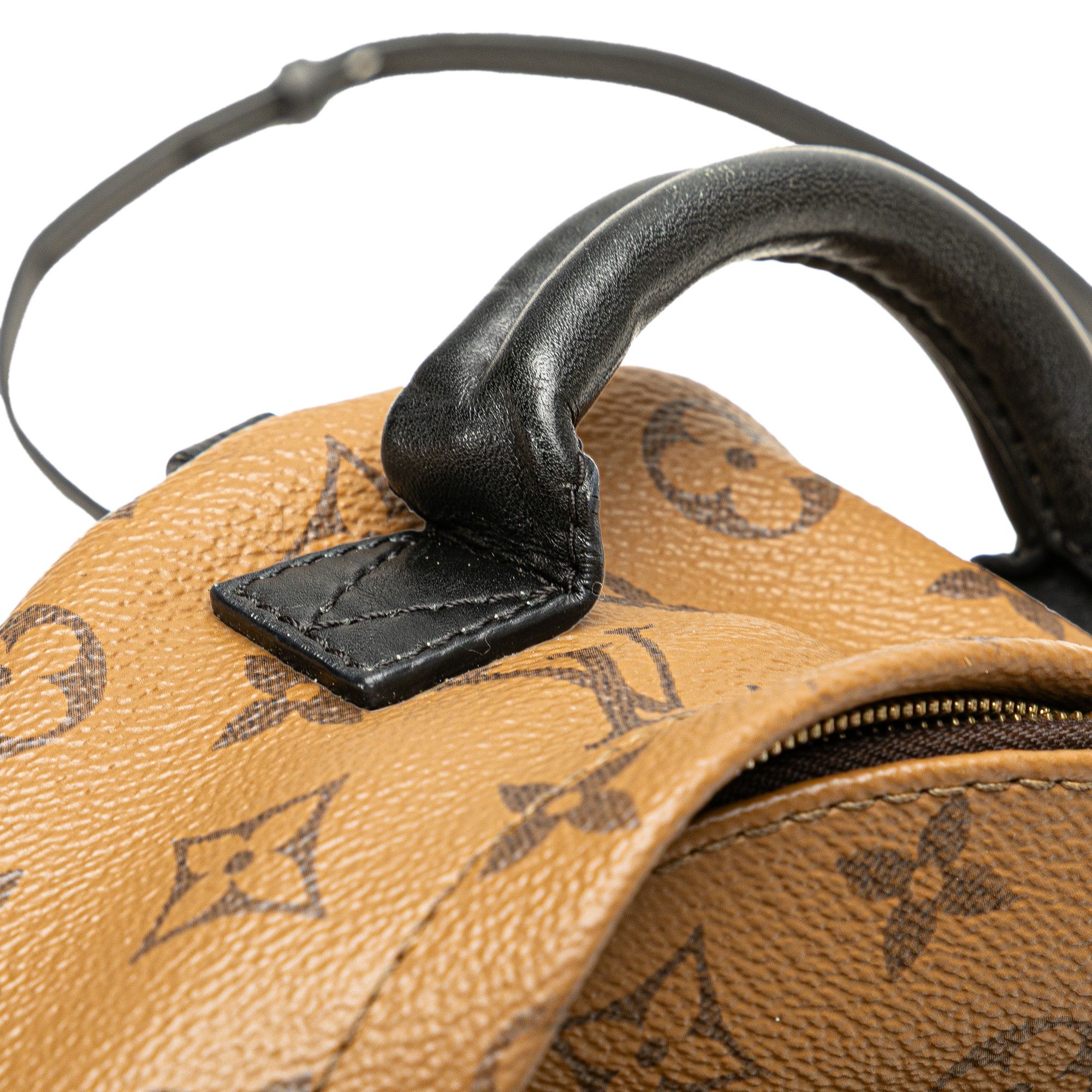 Louis Vuitton Louis Vuitton Monogram Reverse Mini Palm Springs Size ONE SIZE - 9 Thumbnail