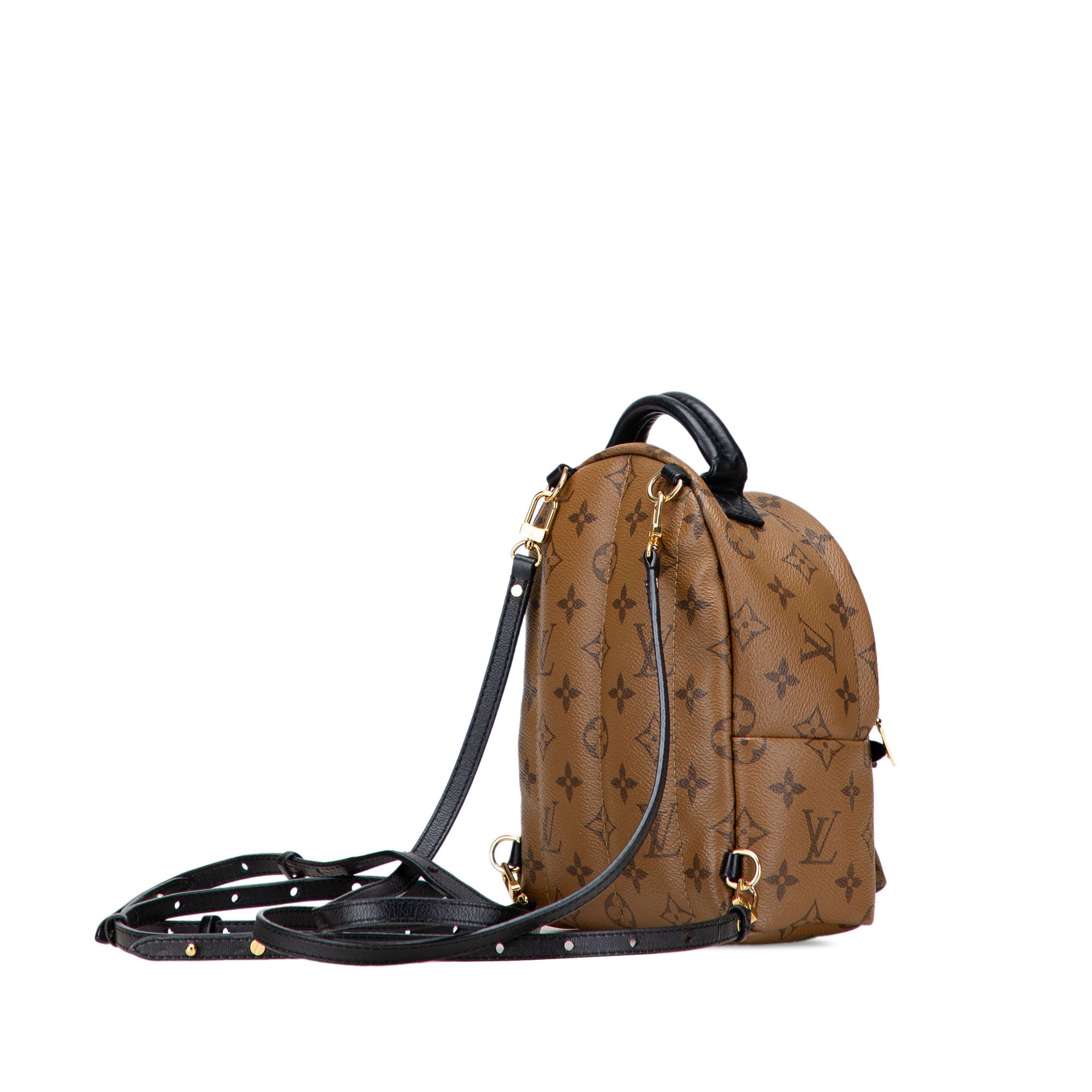 Louis Vuitton Louis Vuitton Monogram Reverse Mini Palm Springs Size ONE SIZE - 2 Thumbnail