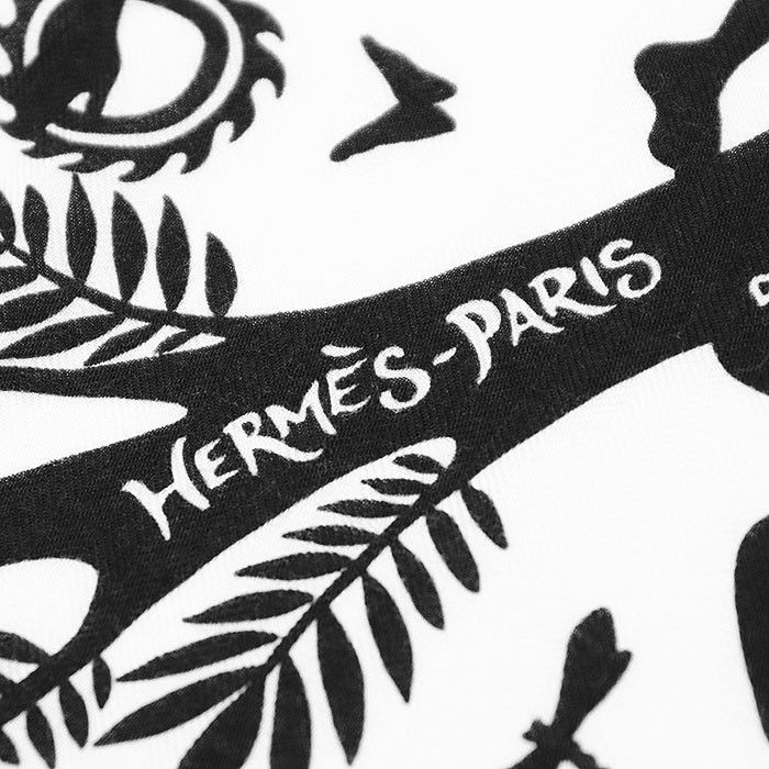 Hermes Hermes Hermes Sous le Charme d'Orphee Cashmere Silk Scarf Others Scarf Size ONE SIZE - 4 Thumbnail