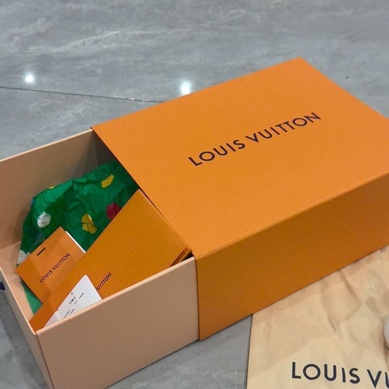 Louis Vuitton Louis Vuitton Archlight Casual Sneakers for Women 0079 Size US 6 / IT 36 - 6 Thumbnail