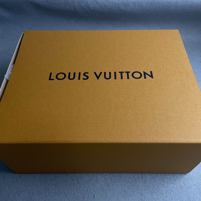 Louis Vuitton Louis Vuitton Archlight 2.0 Low Top Sneakers 0079 Size US 6 / IT 36 - 6 Thumbnail