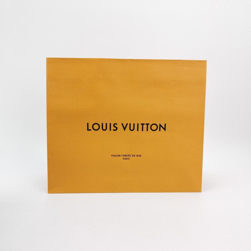 Louis Vuitton Louis Vuitton Metropolis Gray Lace-Up Short Boots 0079 Size US 6 / IT 36 - 7 Thumbnail