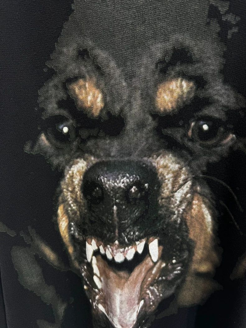 Givenchy Givenchy Show style dog head fleece-lined sweatshirt Size US M / EU 48-50 / 2 - 3 Thumbnail