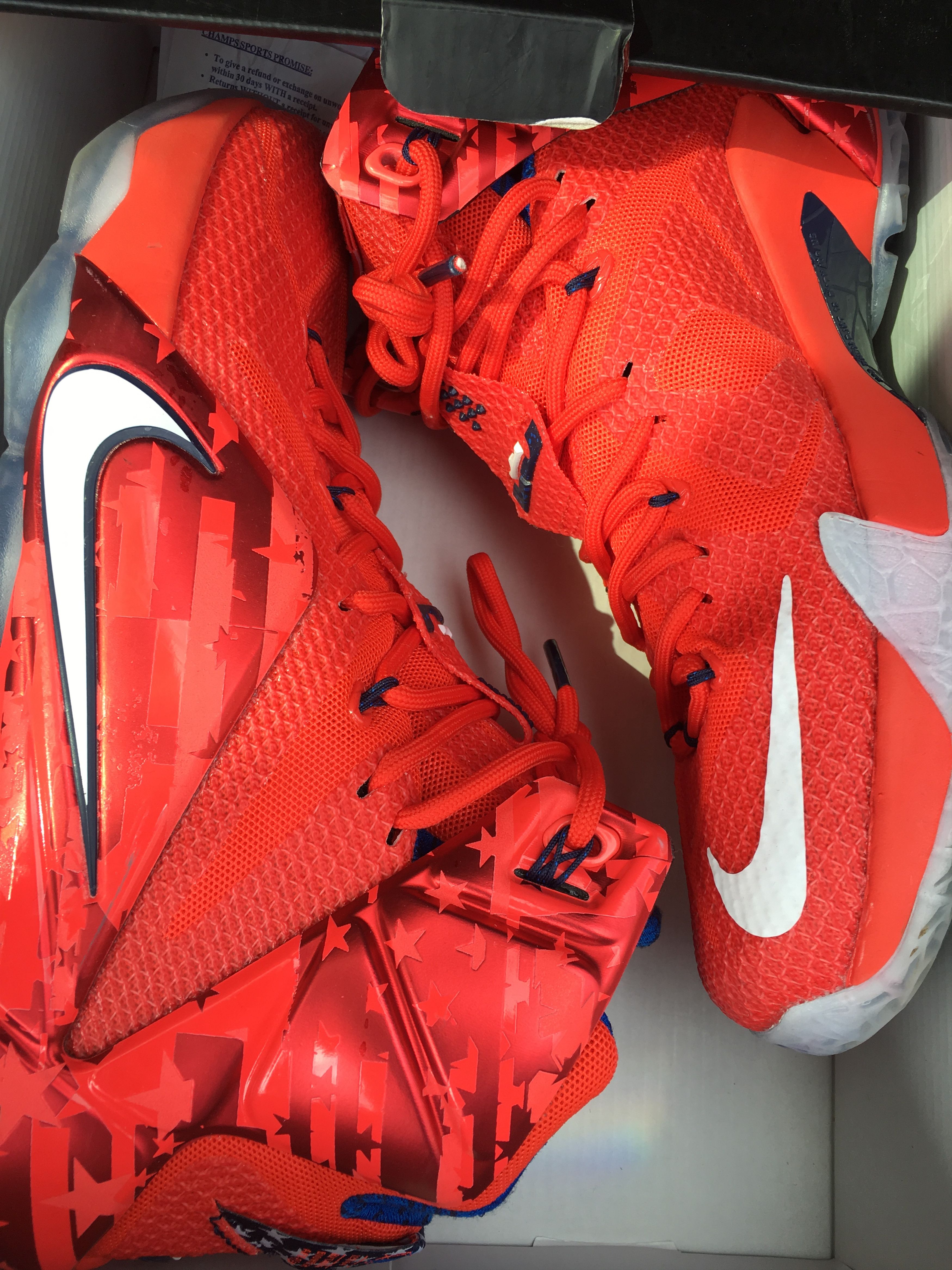 Nike Nike LeBron 12 “Heart of a Lion” | Grailed, image size:3500x4667