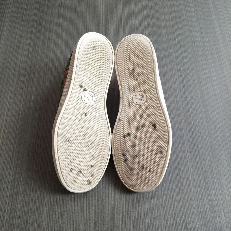 Gucci Gucci Slip-On Casual Shoes in Brown 0079 Size US 8.5 / EU 41-42 - 4 Thumbnail