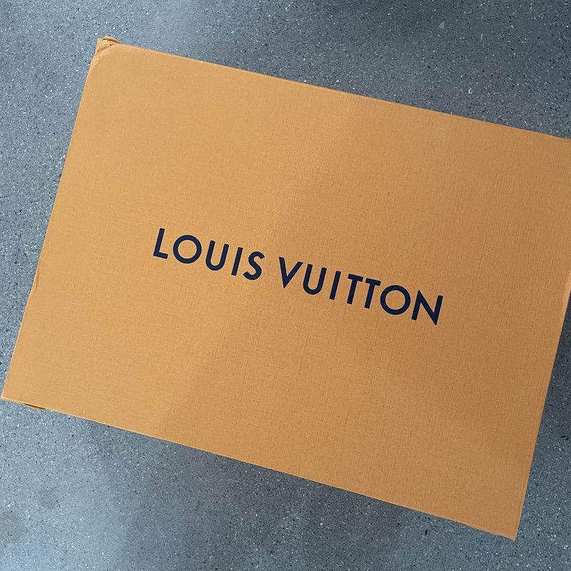 Louis Vuitton Louis Vuitton Trainer Casual Low-Top Sneakers 0079 Size US 8 / EU 41 - 6 Thumbnail