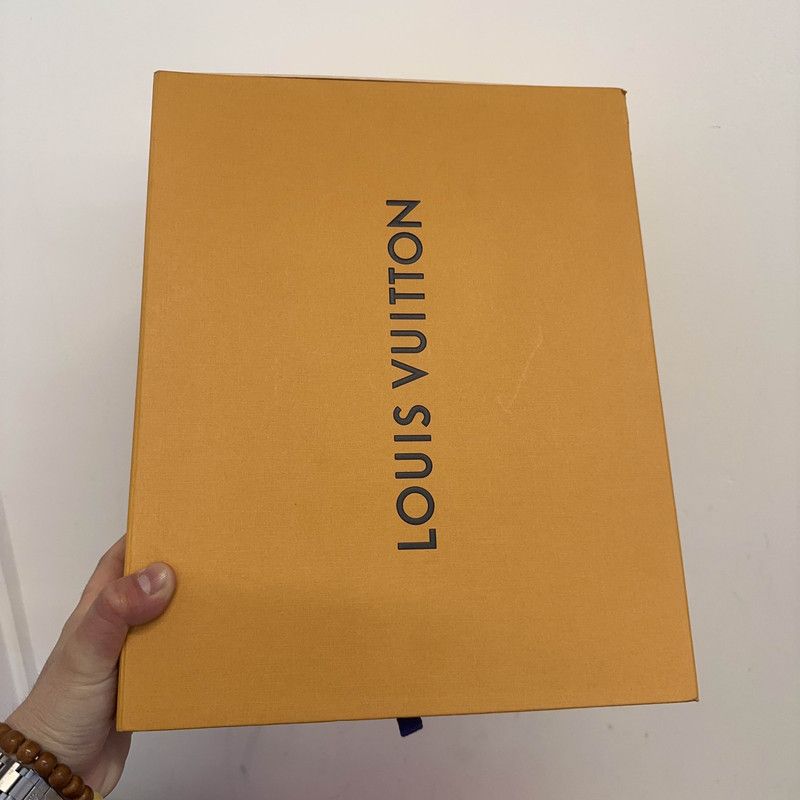 Louis Vuitton Louis Vuitton Trainer Metallic Sneakers for Men 0079 Size US 8 / EU 41 - 6 Thumbnail
