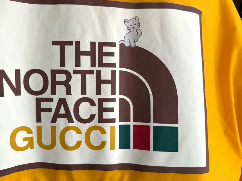 Gucci Gucci x The North Face collaborative hooded jacket - dmc Size US S / EU 44-46 / 1 - 3 Thumbnail