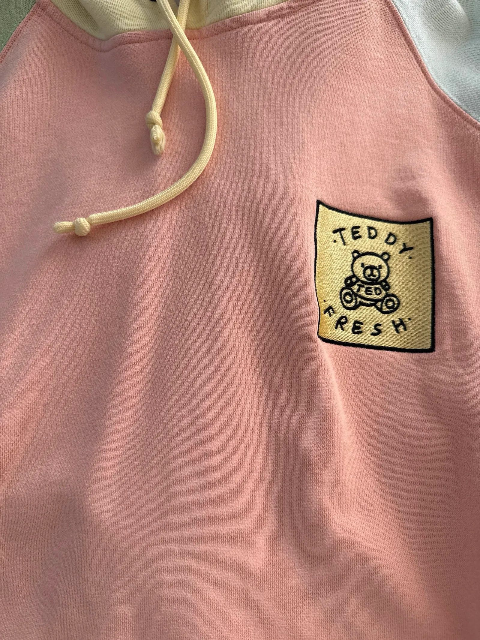 Teddy Fresh Teddy Fresh Hoodie Size US L / EU 52-54 / 3 - 4 Thumbnail