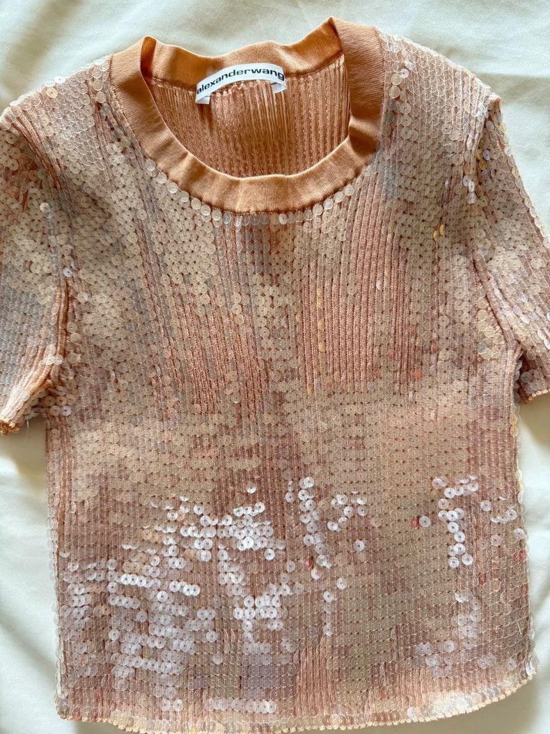 Alexander Wang Alexander Wang Sequin Embellished T-shirt Size S / US 4 / IT 40 - 9 Thumbnail