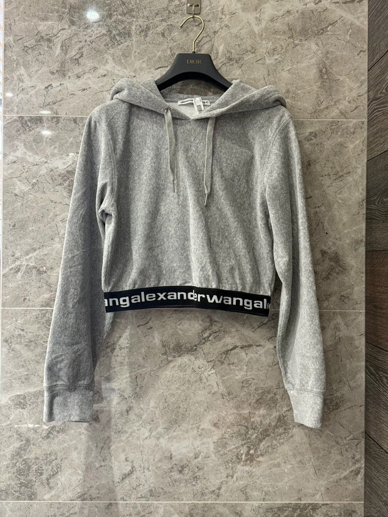 Alexander Wang Alexander Wang Gray Velvet Hoodie Size S / US 4 / IT 40 - 6 Thumbnail