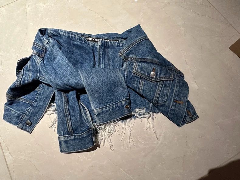 Alexander Wang Alexander Wang Denim Shorts Size 26" / US 2 / IT 38 - 3 Thumbnail