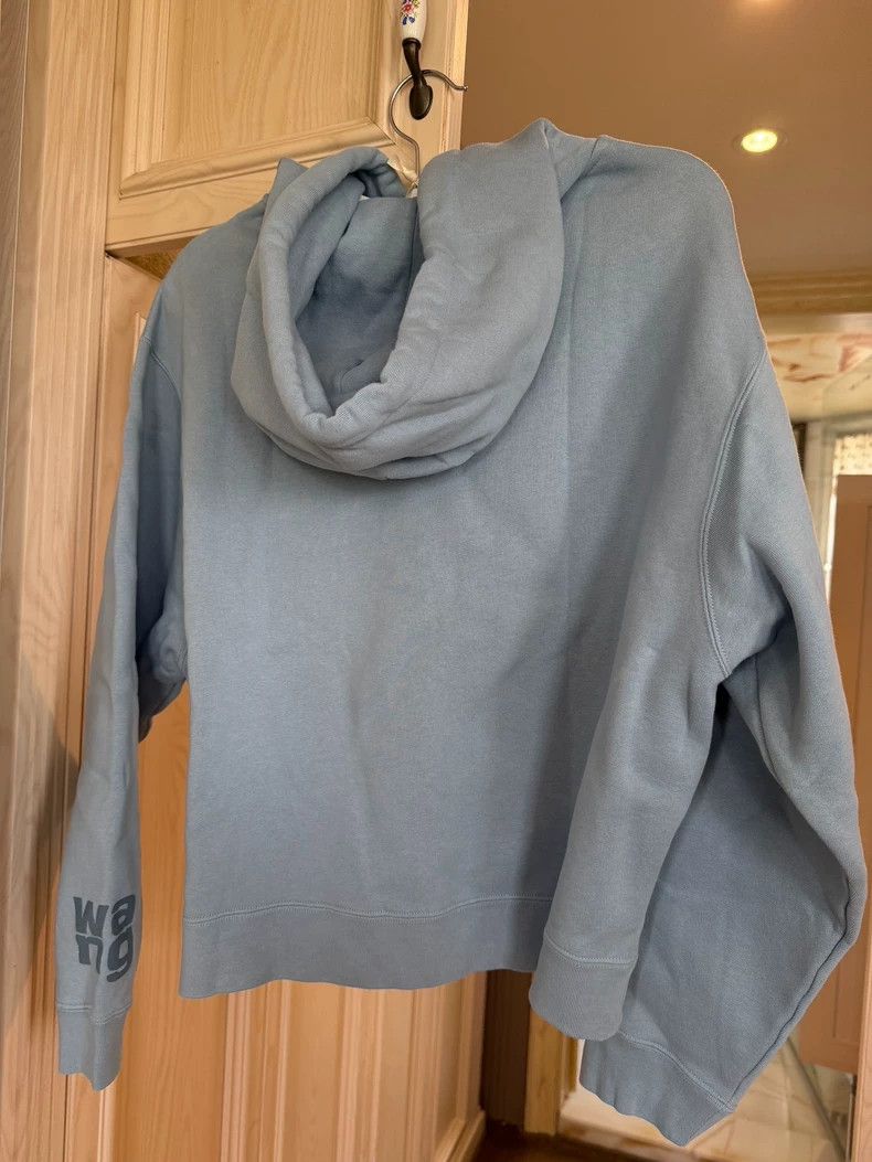 Alexander Wang Alexander Wang Blue Logo Hoodie Size M / US 6-8 / IT 42-44 - 4 Thumbnail