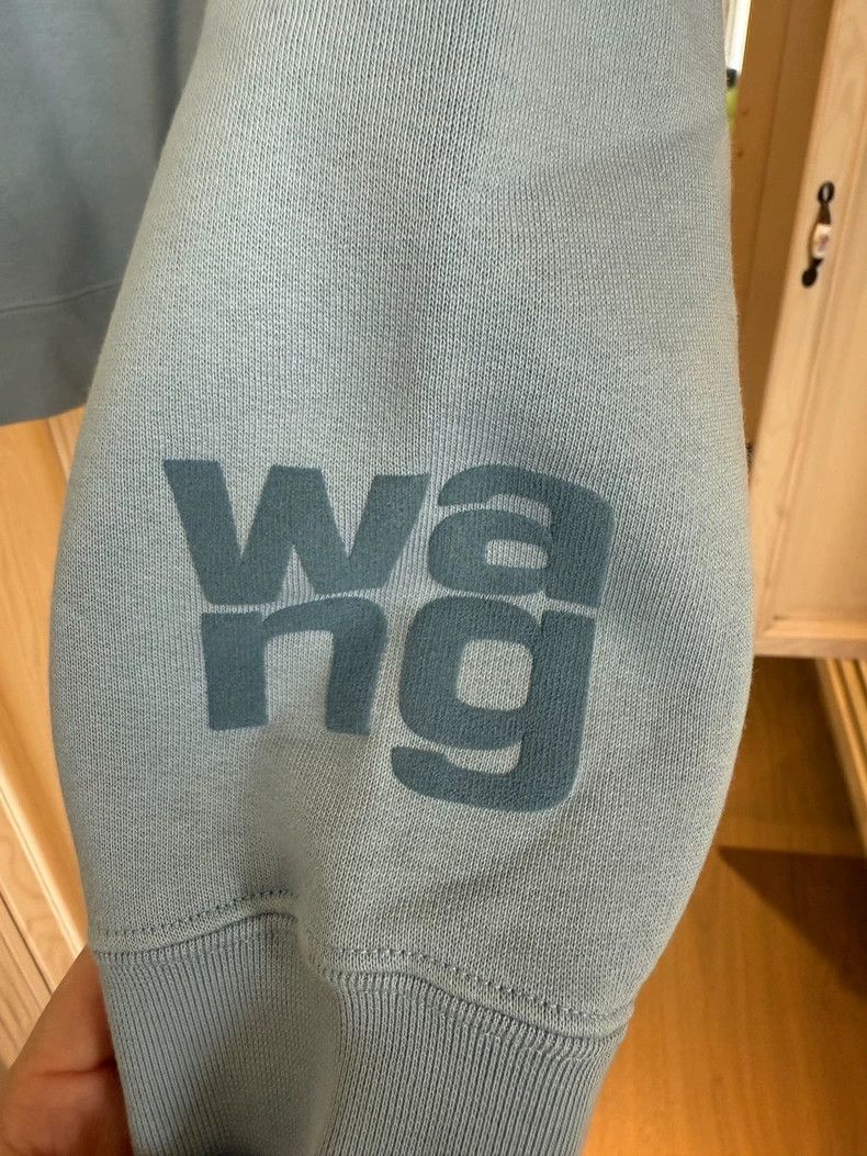 Alexander Wang Alexander Wang Blue Logo Hoodie Size M / US 6-8 / IT 42-44 - 2 Thumbnail