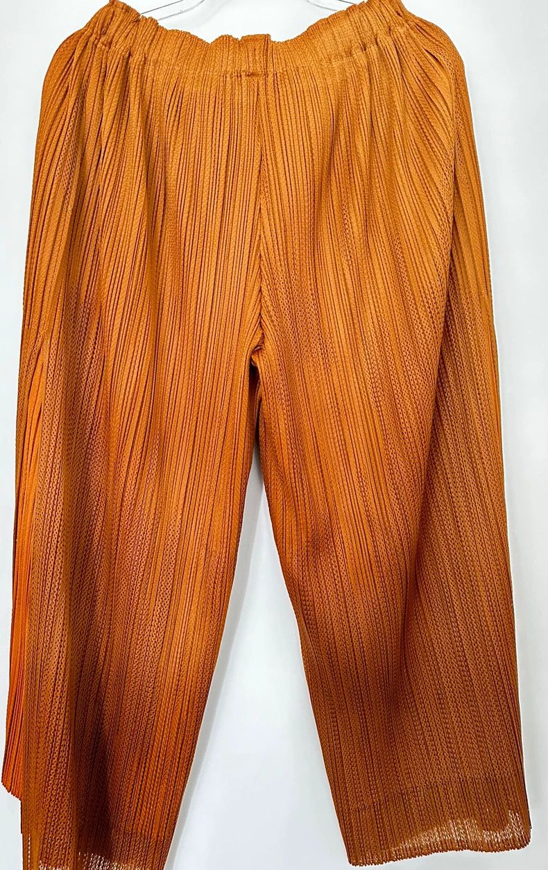 Issey Miyake Issey Miyake Pleated Wide-Leg Pants - dmc Size US 36 / EU 52 - 4 Thumbnail