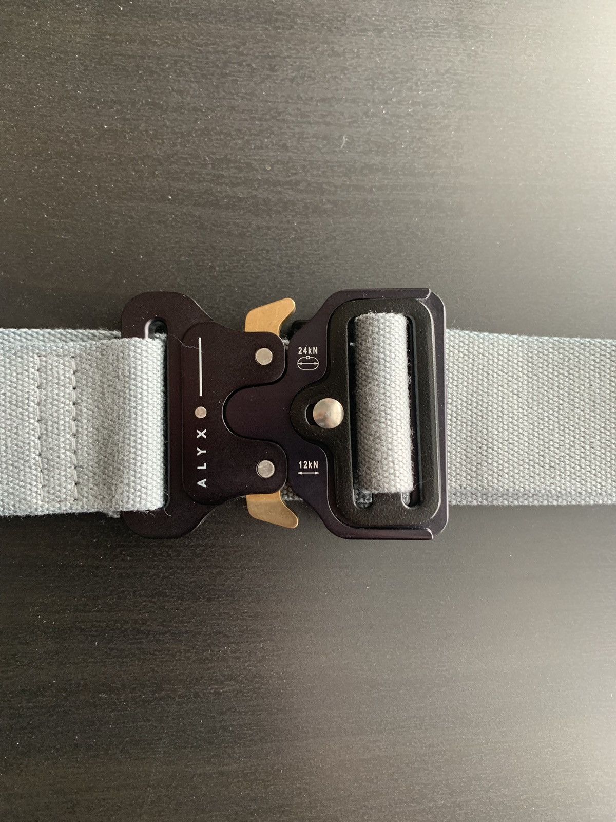 Alyx Alyx gray roller coaster belt, AW17 Size ONE SIZE - 1 Thumbnail