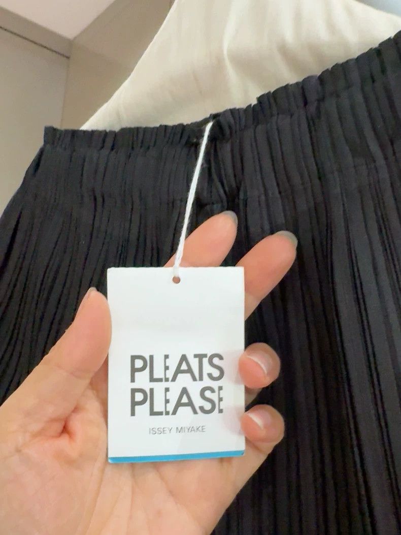 Issey Miyake Issey Miyake PP Pleats Classic Pants - dmc Size US 30 / EU 46 - 4 Thumbnail