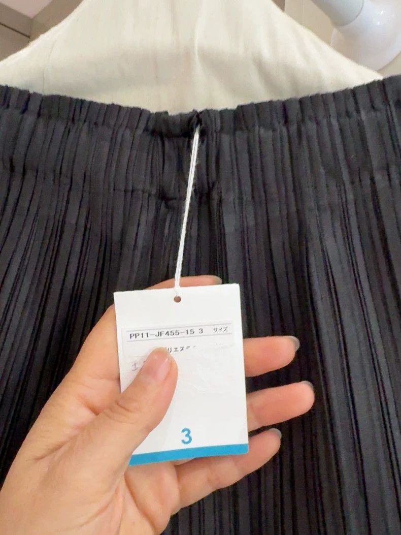 Issey Miyake Issey Miyake PP Pleats Classic Pants - dmc Size US 30 / EU 46 - 3 Thumbnail