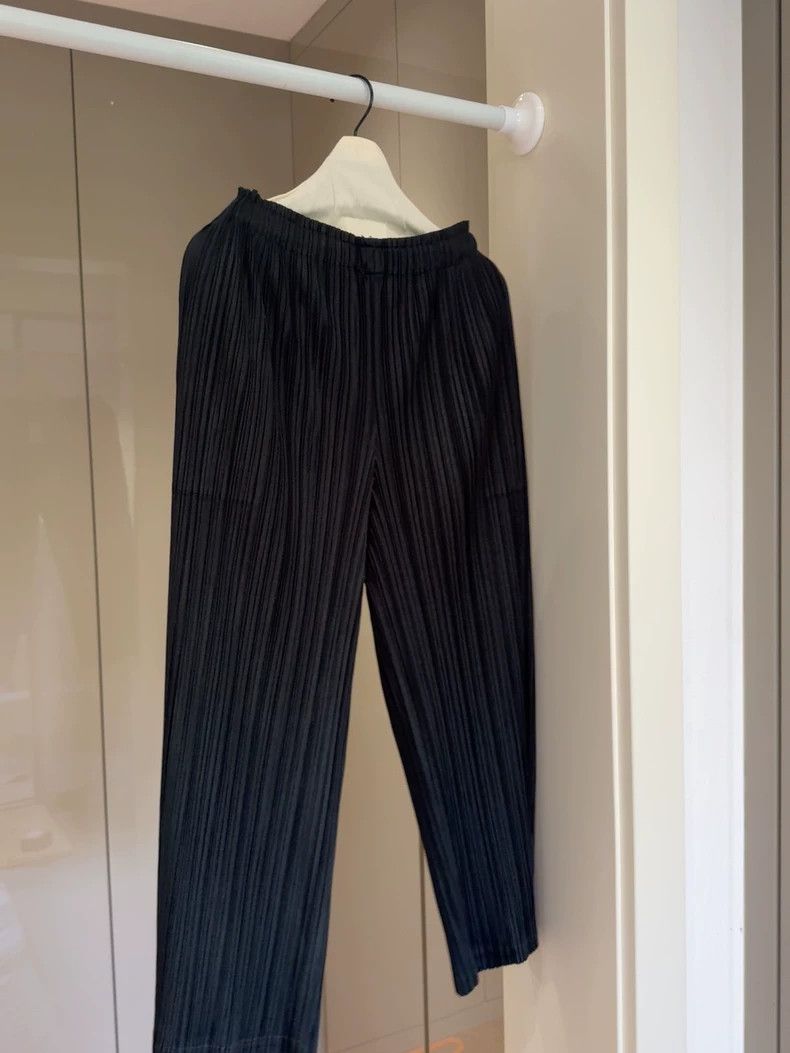 Issey Miyake Issey Miyake PP Pleats Classic Pants - dmc Size US 30 / EU 46 - 2 Thumbnail