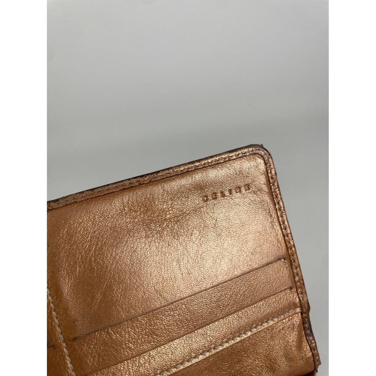 Celine Triomphe Blue Denim - Jeans Wallet Size ONE SIZE - 4 Thumbnail