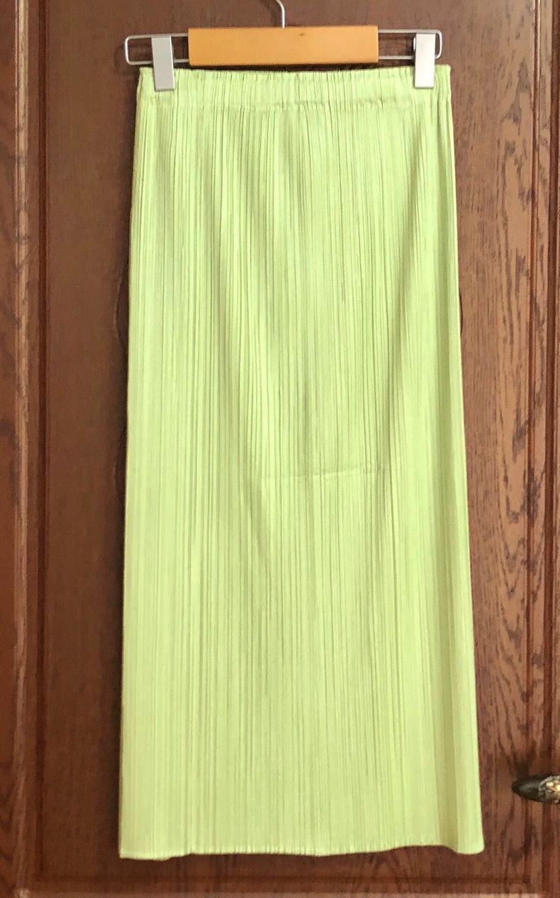 Issey Miyake Pleats Please Issey Miyake Pleated Skirt - dmc Size US 26 / EU 42 - 2 Thumbnail