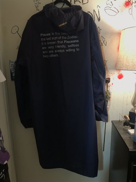 Vetements hot sale pisces raincoat