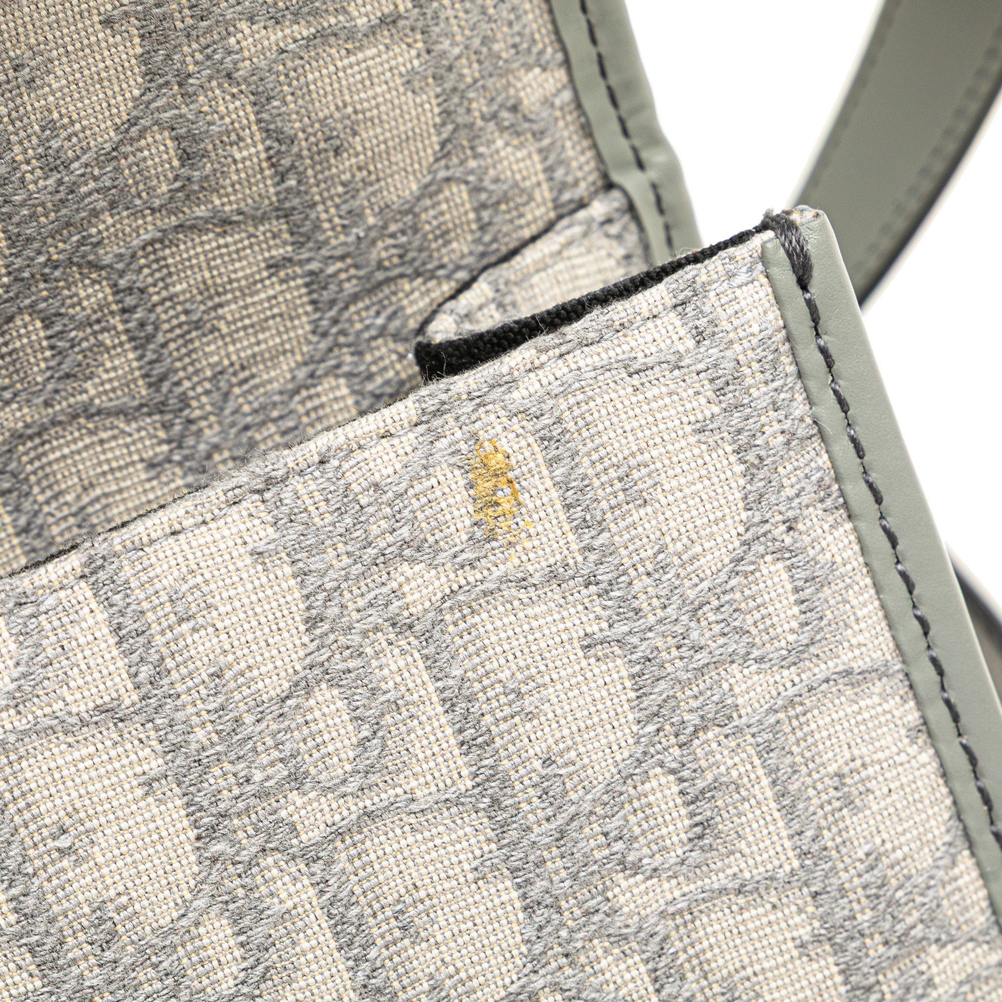 Dior Medium Oblique Canvas 30 Montaigne Bag