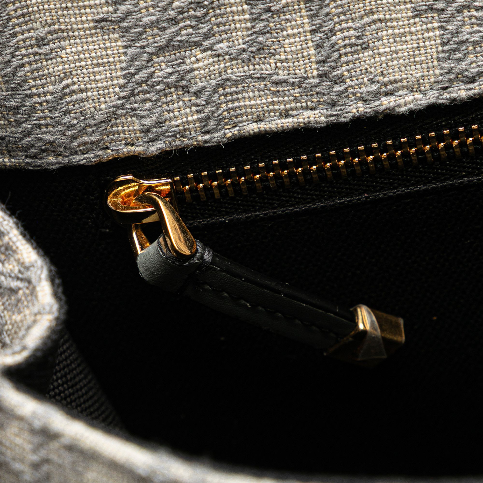 Dior Medium Oblique Canvas 30 Montaigne Bag