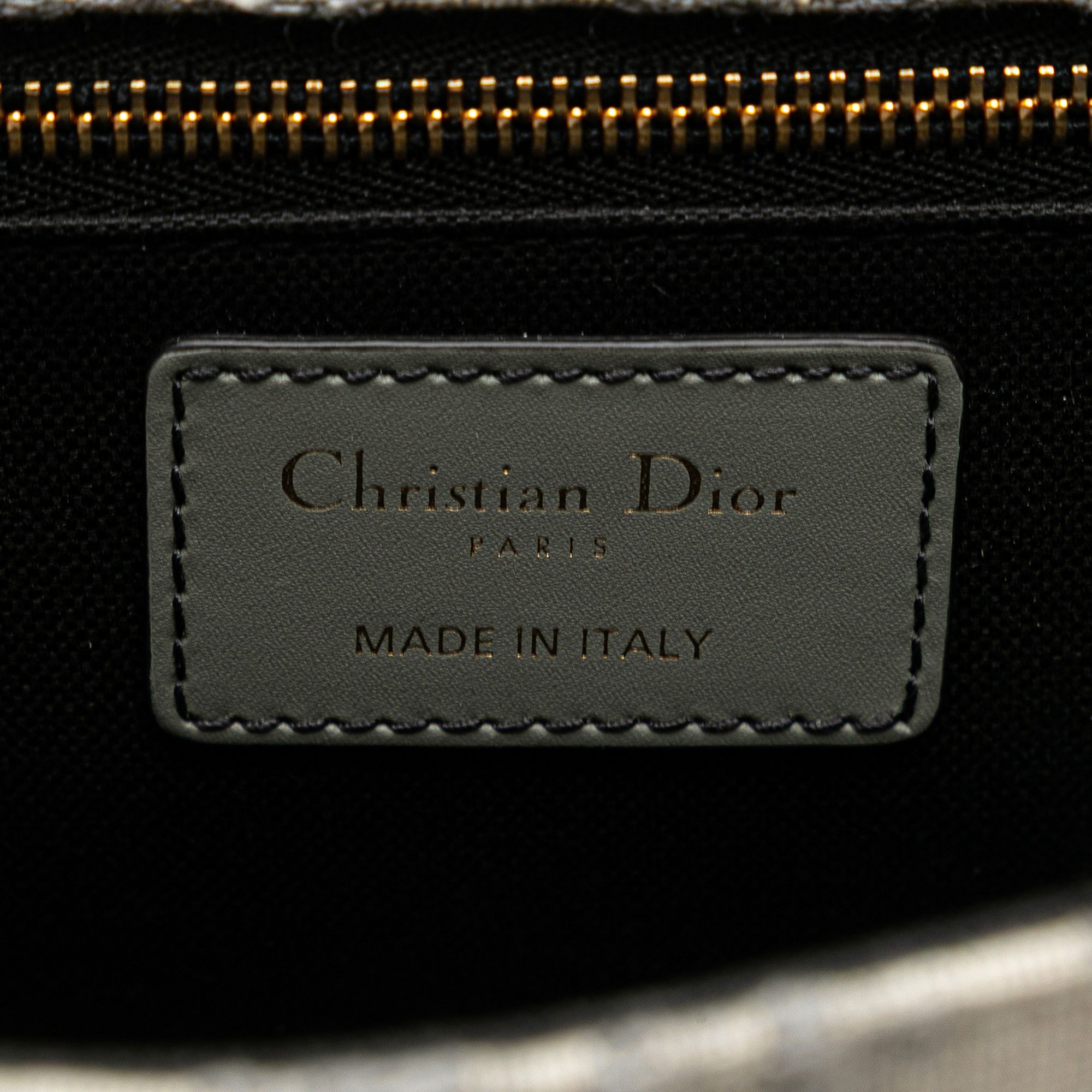 Dior Medium Oblique Canvas 30 Montaigne Bag
