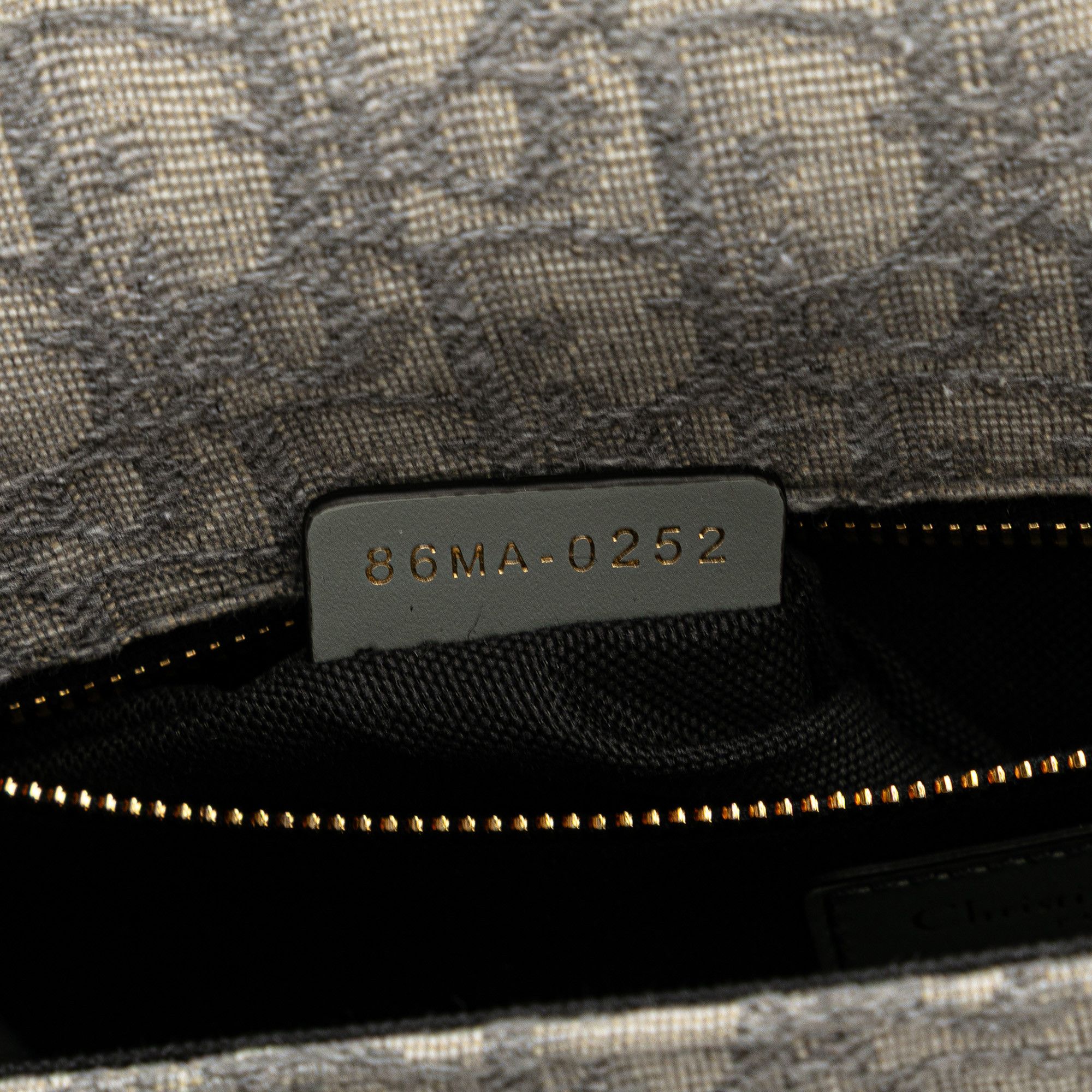 Dior Medium Oblique Canvas 30 Montaigne Bag
