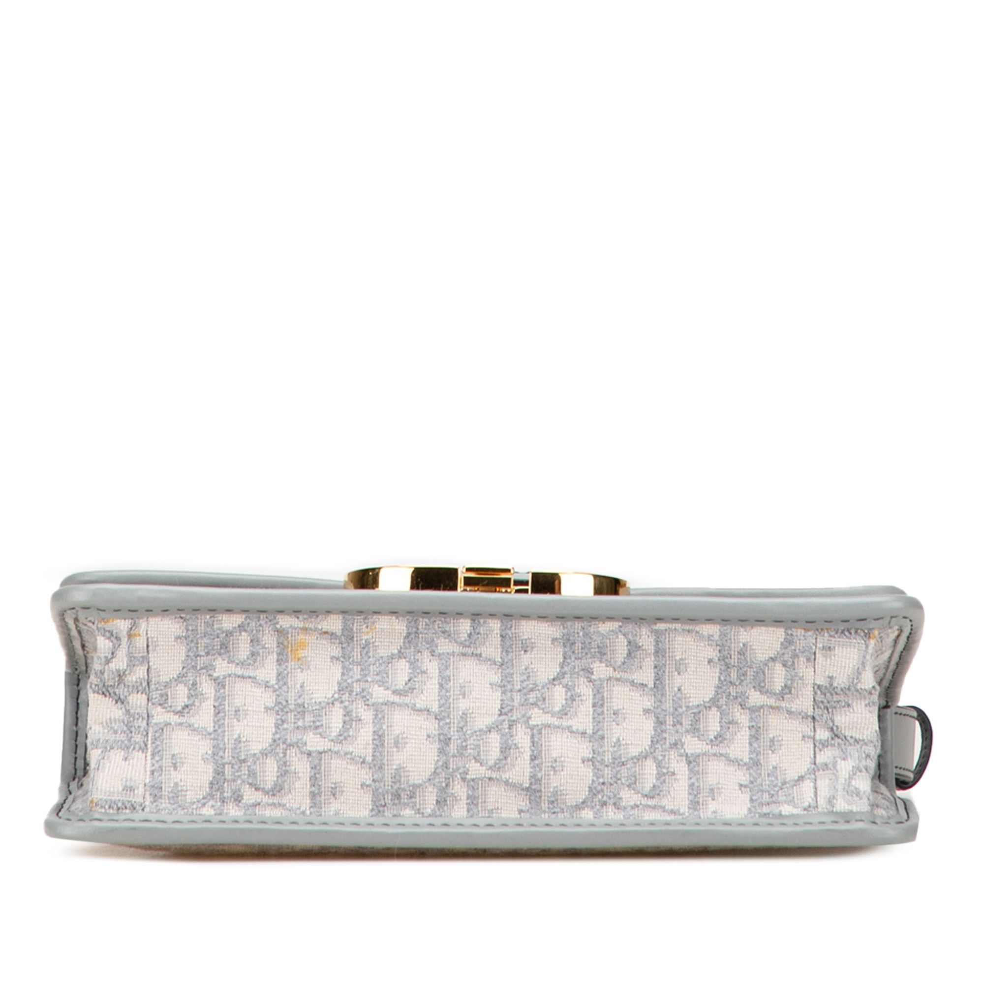 Dior Medium Oblique Canvas 30 Montaigne Bag