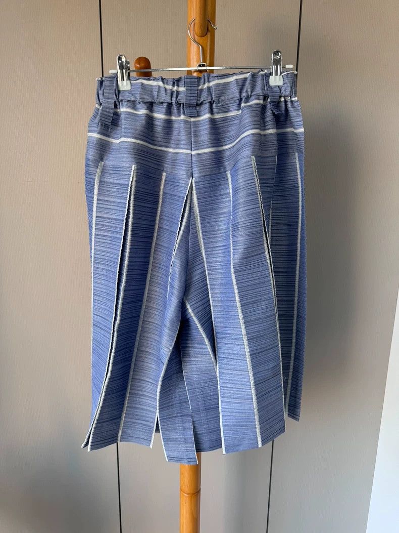 Issey Miyake Issey Miyake Bamboo Pattern Mid-Length Shorts - dmc Size US 28 / EU 44 - 2 Thumbnail