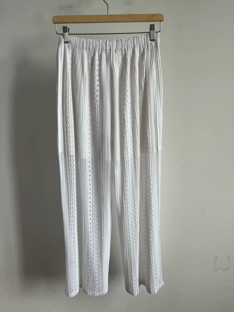 Issey Miyake Issey Miyake Pleated Casual Pants - dmc Size US 30 / EU 46 - 2 Thumbnail