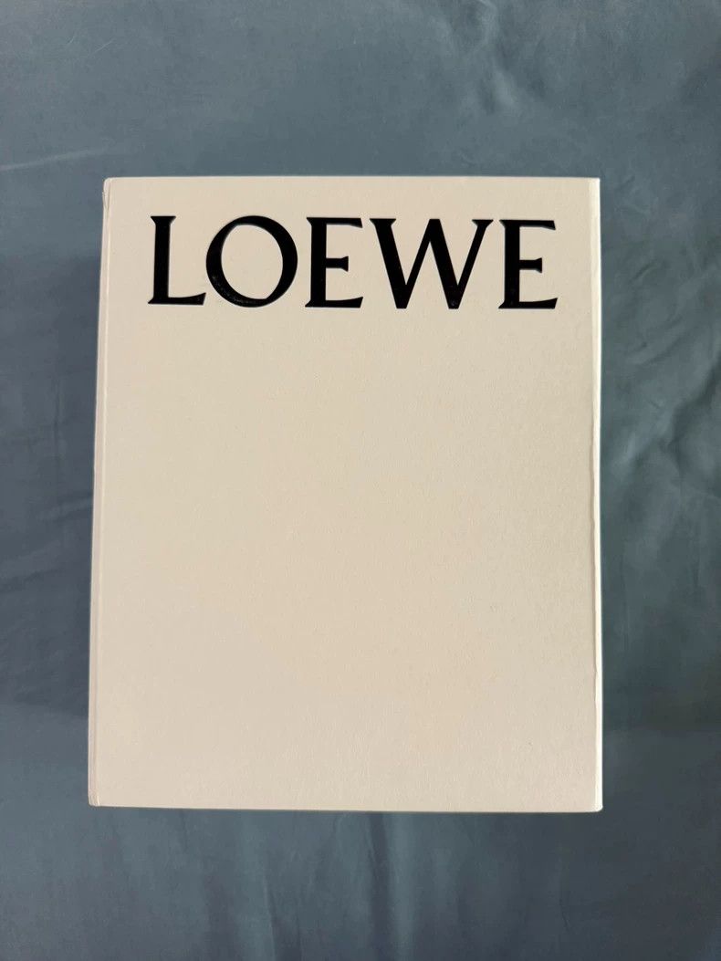 Loewe LOEWE Double-Sided Wool Scarf - dmc Size ONE SIZE - 4 Thumbnail