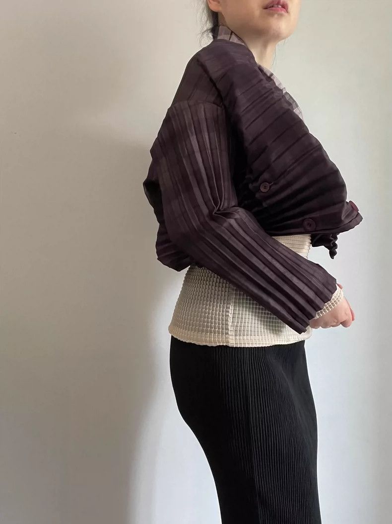 Issey Miyake Issey Miyake Main Line Pleated Jacket - dmc Size US M / EU 48-50 / 2 - 3 Thumbnail